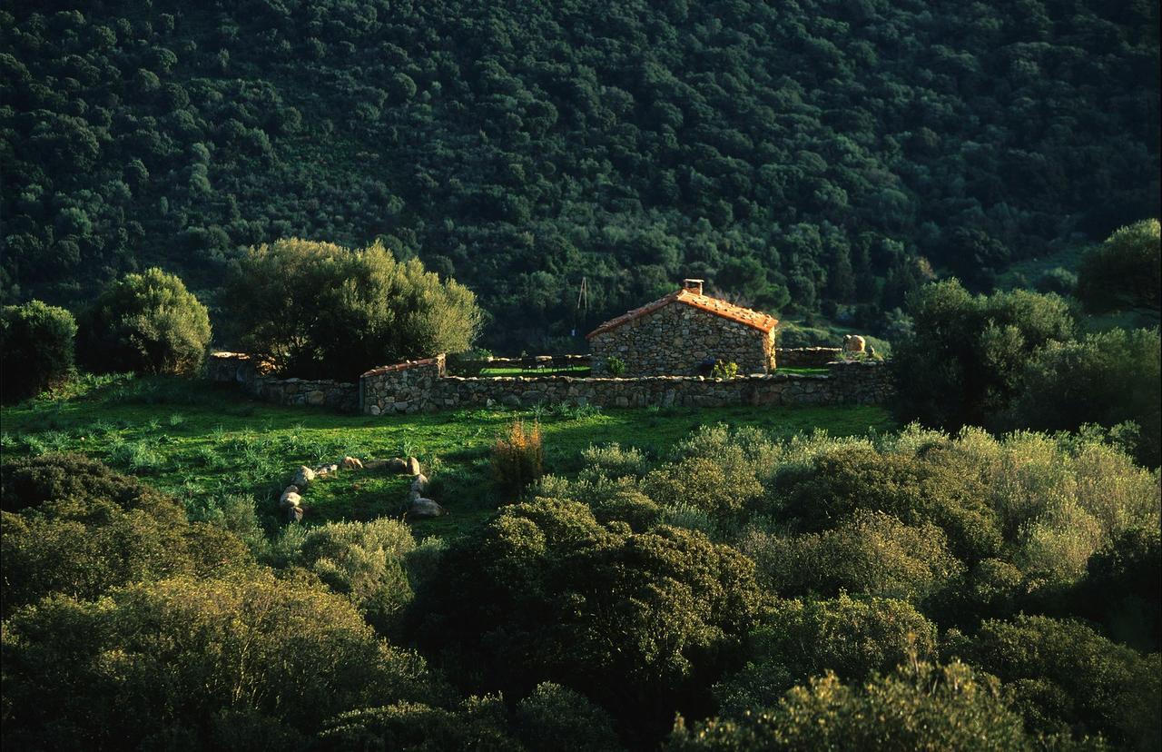 Domaine De Murtoli Hotel Sartène Exterior foto